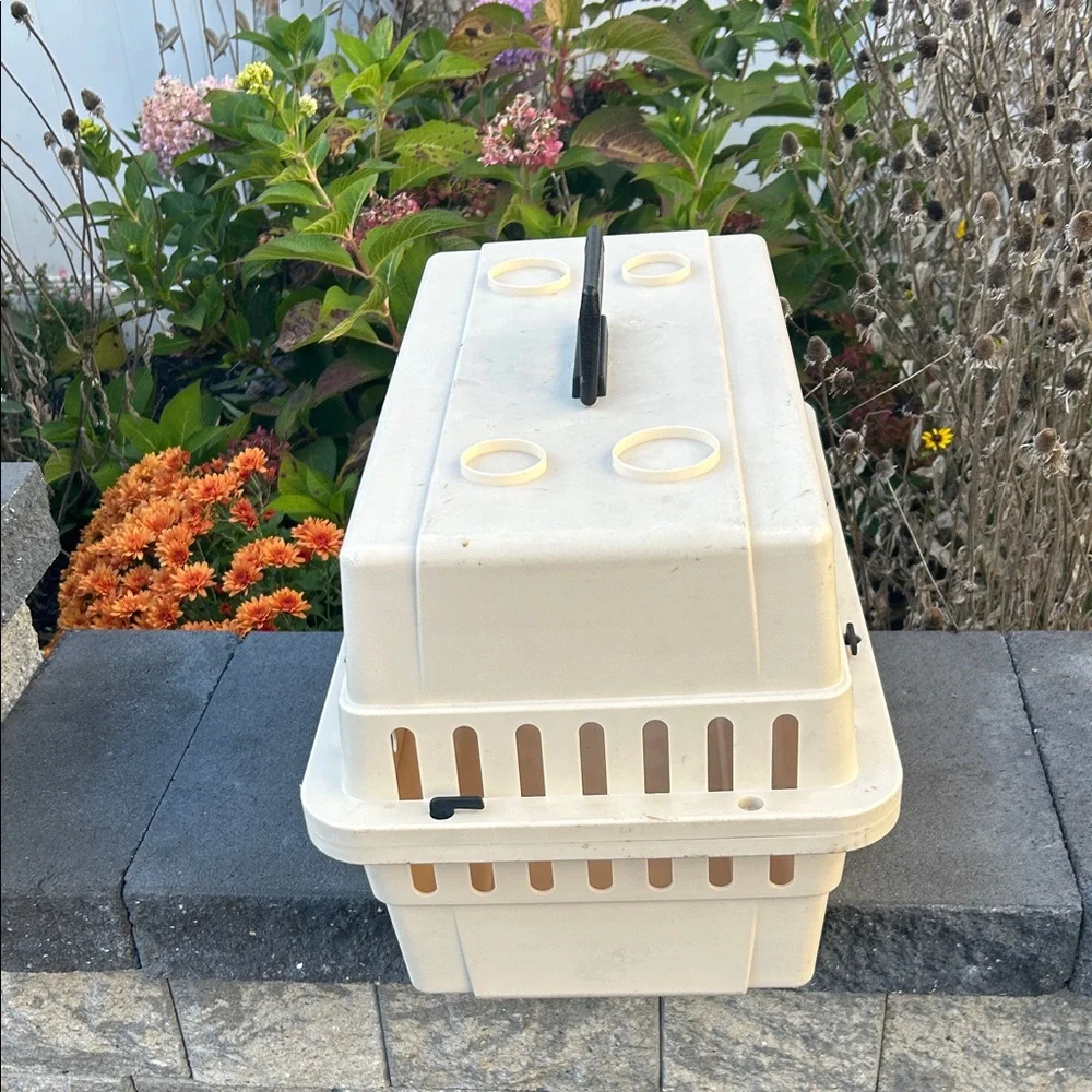 Cream Hard Sided Pet Carrier